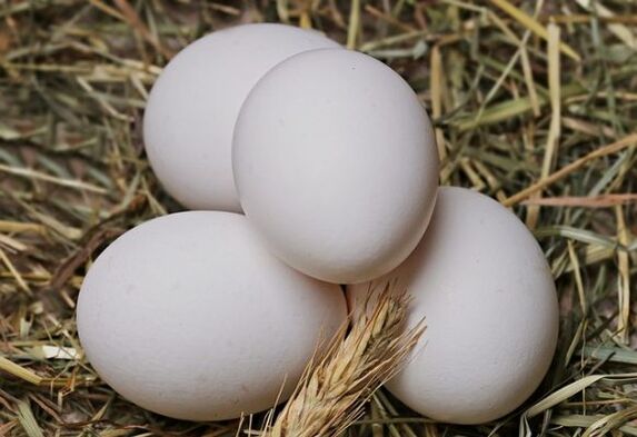 La dieta del huevo implica comer huevos de gallina todos los días. 